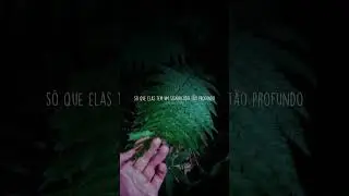 Deus é bom demais 💖🙏🏼