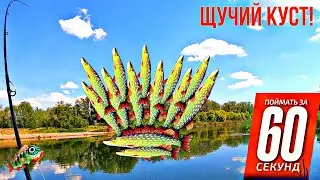 Рыбалка в кипятке: Щучий куст. Ловля щуки в жару на Урале.