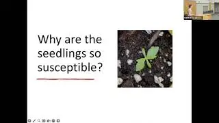 Resist and persist: Ecological & evolutionary perspectives on disease dynamics in plant populations