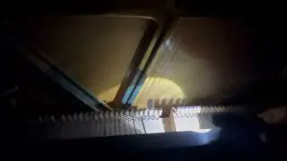 гостфакерс?