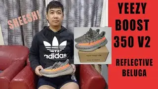Adidas Yeezy Boost 350 V2 Beluga Reflective | Hype Sneaker | Sheesh!