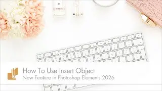 How to Use Insert Object