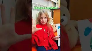 Панды в вертолёте 