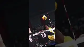 Play instinct 
