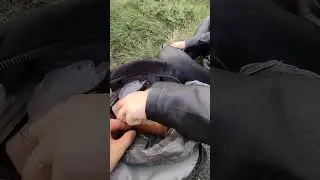 перекус в дороге))Ява 360 обкатка