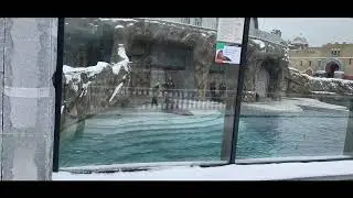 ГулЯем в зоопарке