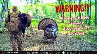 FULL STRUT!!!-Best of Spring Gobbler Turkey Hunts in VA!!