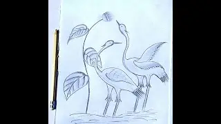 Beautiful Bird pencil sketch2021
