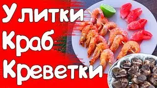 УЛИТКИ, КРЕВЕТКИ и 