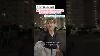 Кот съел осу.
