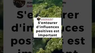 S’entourer d’influences positives #shortvideo #gratitudemindset #gratefulmindset #animal