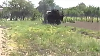 юмз