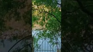 27 ноября 2021 г.