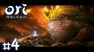 แล้วทำไมเควสเยอะจัง (Ori and the Will of the Wisps) #4