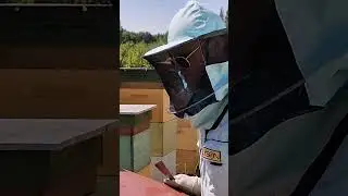И как тут не поставить 5 ? 