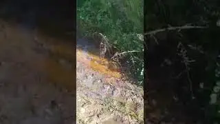 Старая водокачка в селе Кошай