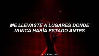 Taylor Swift - I Knew You Were Trouble [Español].