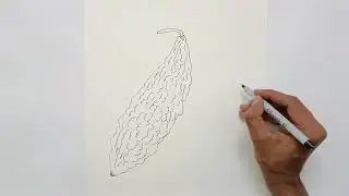 How to Draw Bitter Gourd | Karela Drawing | Sketch Drawing | Easy Sketches