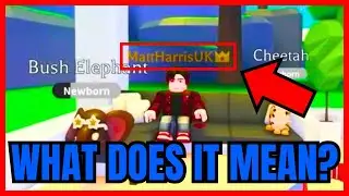 What Does The ORANGE NAME And CROWN Mean In Adopt Me (EXPLAINED)