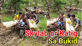 Ang Motor na Parang Truck Sa Bukid (Skylab or Katig)
