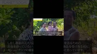 カンボジア　カシューナッツ農家支援ファンド #shorts