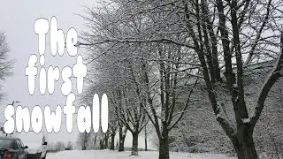 First Snowfall of 2017 #shorts❄❄❄|| LisaA