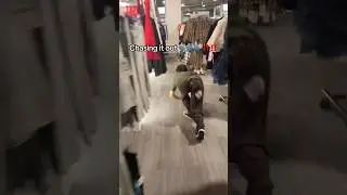 The furrys are out of control 😡😡 