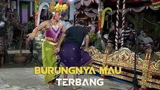 Kocak Burungnya Sampe Nongol
