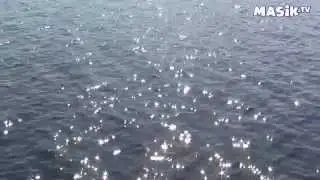 черное море