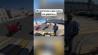 Как-то встретились два коня…🏍️🤣 