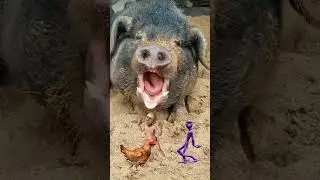 Funny Vfx video