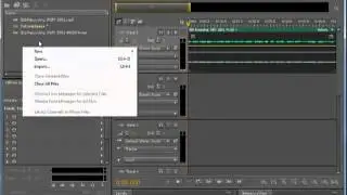 Adobe Audition Importing Audio