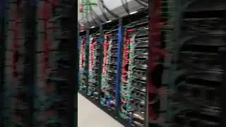 Cortex عملاق ماسك لتدريب الـ AI