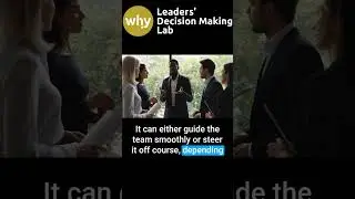 Information Cascades in Group Dynamics: Decision Snowball Effect