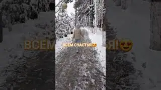 НУ ПРИВЕТ, 2024 🤣 