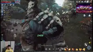SP FIGHT NO 800K NO PROBLEM SA22 