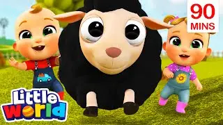 Chasing Baa Baa Black Sheep | Kids Songs & Nursery Rhymes by Little World