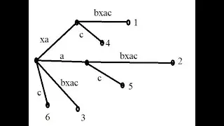 Suffix Trees & Suffix Arrays