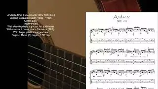 Andante BWV 1033 guitar solo