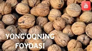 Yong'oq va uning foydasi