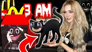 Do NOT ORDER a CARTOON CAT HAPPY MEAL FROM MCDONALDS AT 3 AM!! (*SCARY HE CAME TO MY HOUSE*)