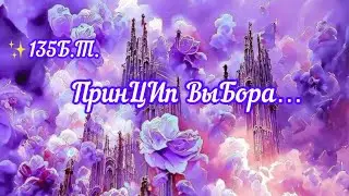 ✅ПринЦИп выБора…