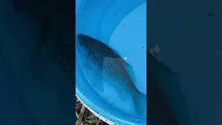 Рыбалка на карьере.