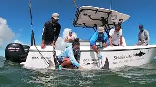 New Boat Reveal - Signatus