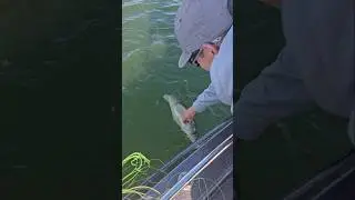 Anyone have a buddy mess up this bad?