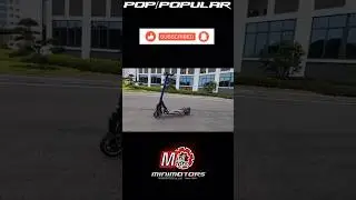 MINIMOTORS DUALTRON 