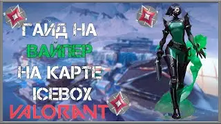 ЛУЧШИЙ Гайд на Вайпер на карте ICEBOX | VALORANT