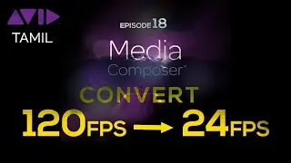 Convert and Import 120fps to 24fps AVID Media Composer | Tamil