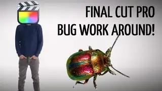 How to solve the Final Cut Pro X Key Frame Bug | Adjustment Layers Workaround