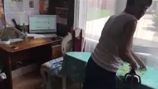 Даёшь равенство французским бульдогам !!!